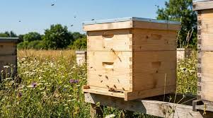  standard modern Langstroth hive.jpeg